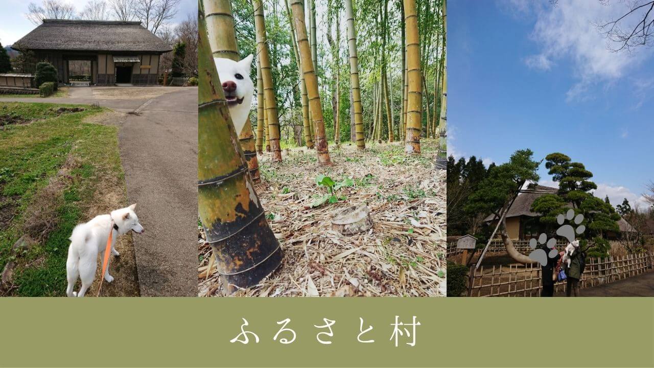 美しく広い【国営みちのく杜の湖畔公園】南地区　ふるさと村