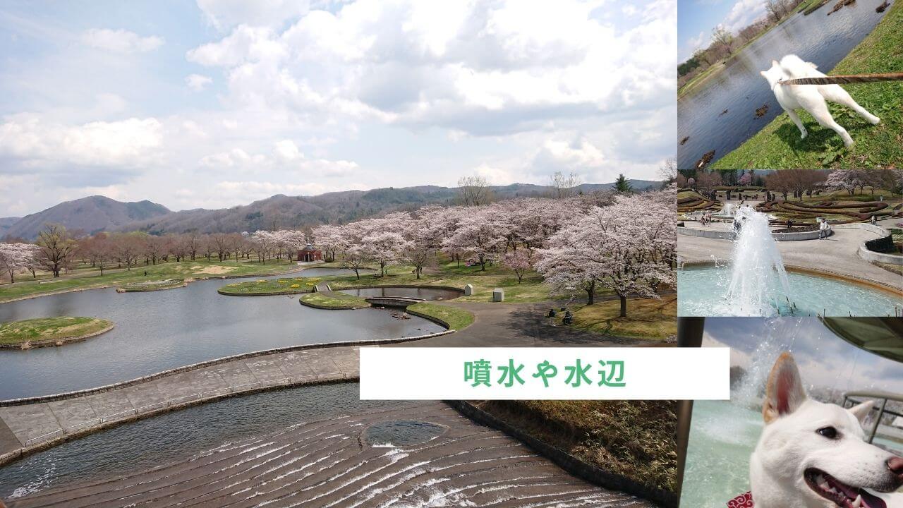 美しく広い【国営みちのく杜の湖畔公園】南地区