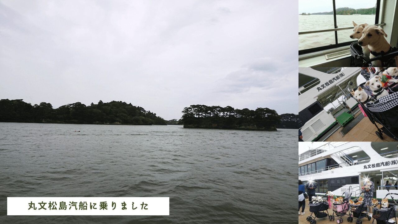 〈日本三景松島〉ペットと一緒に遊覧観光【丸文松島汽船】