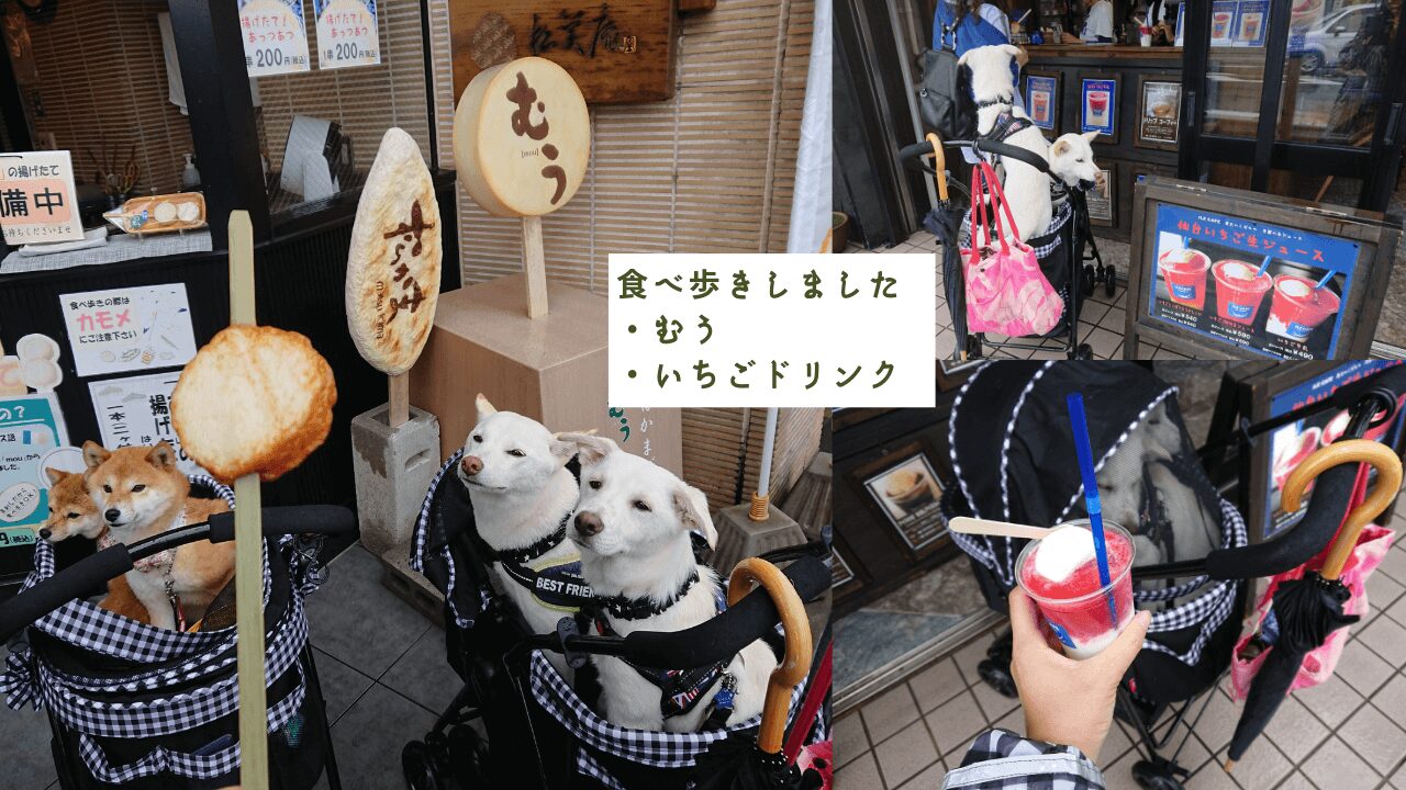 〈日本三景松島〉ペットと一緒に遊覧観光【丸文松島汽船】食べ歩き