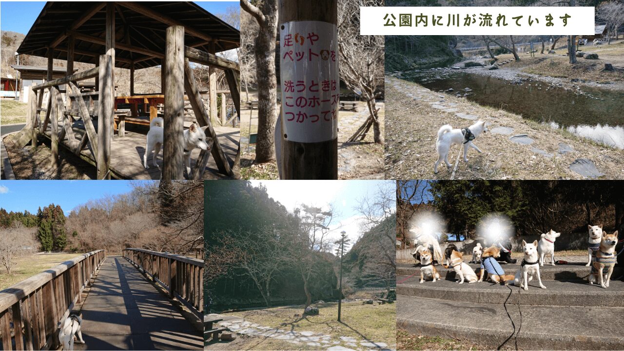 宮城県登米市、川が流れている【三滝堂ふれあい公園】