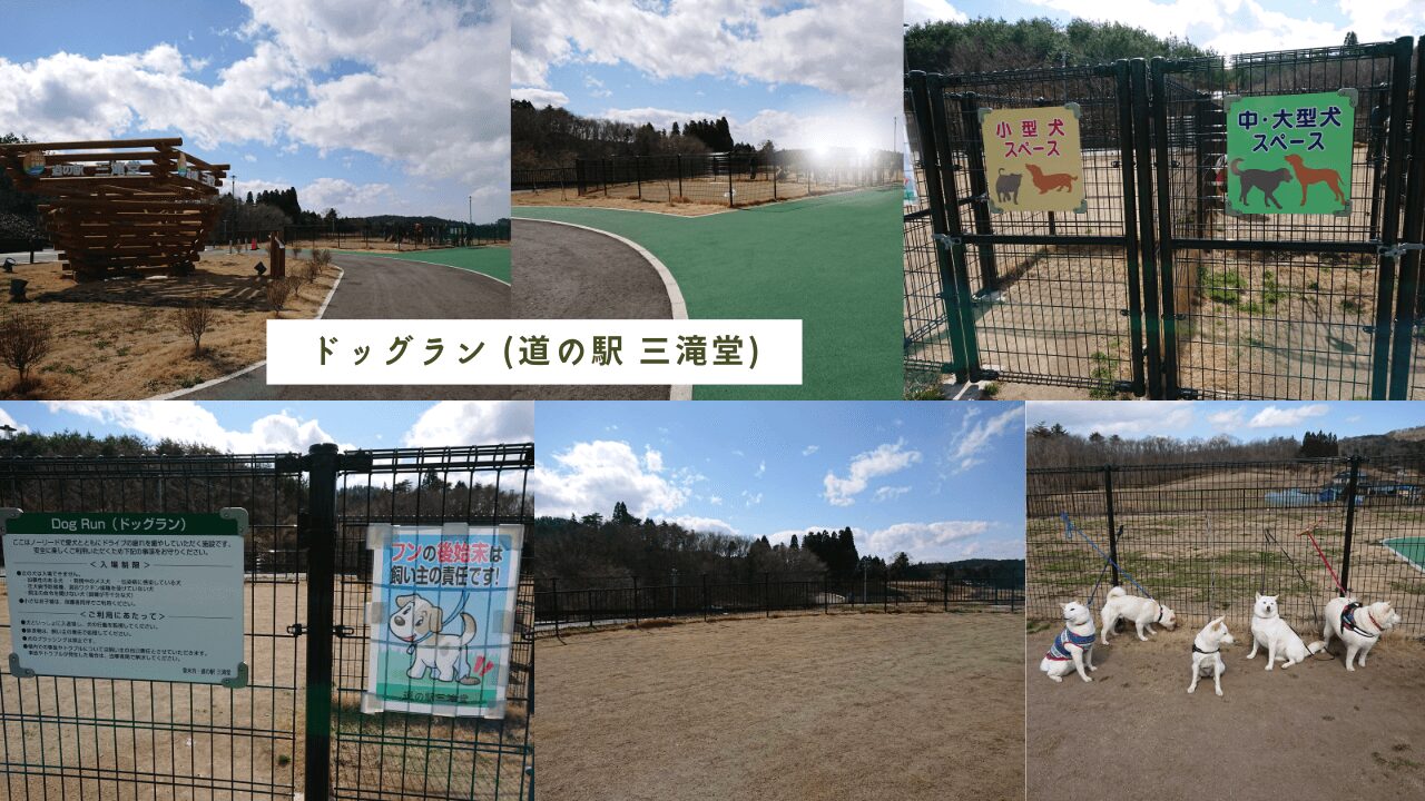 宮城県登米市、東和町にある【道の駅 三滝堂】にはドッグランがあります