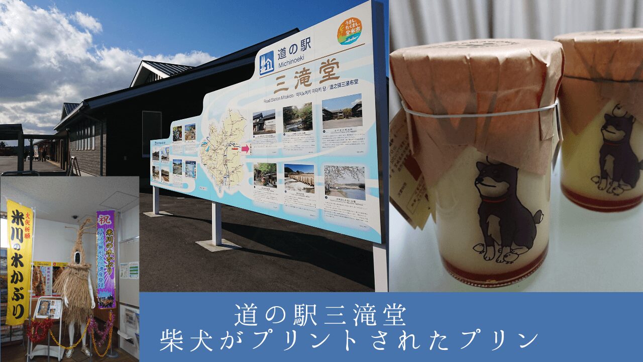 宮城県登米市、東和町にある【道の駅 三滝堂】にはドッグランがあります 柴犬 プリン 卵皇