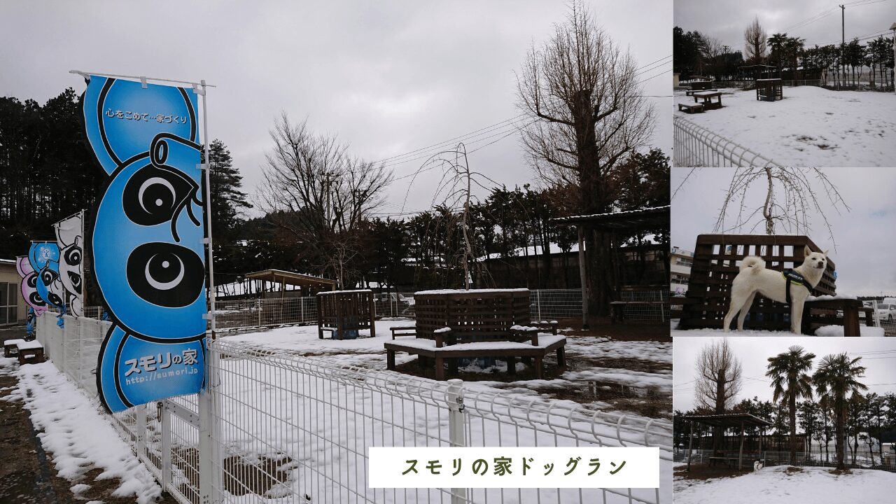 宮城県大郷町、【スモリの家 たのしいおうちづくりの学校】にドッグランがあります