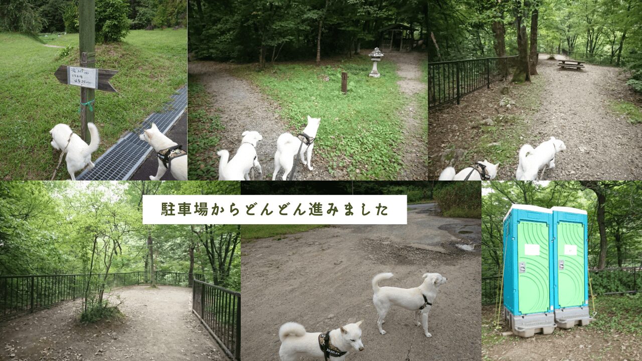 仙台市青葉区、国道48号線すぐ側【鳳鳴四十八滝】