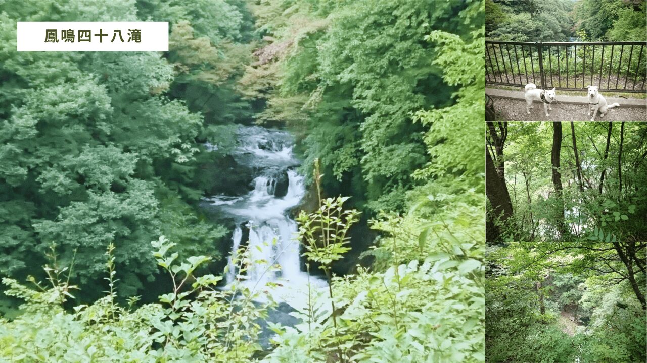 仙台市青葉区、国道48号線すぐ側【鳳鳴四十八滝】