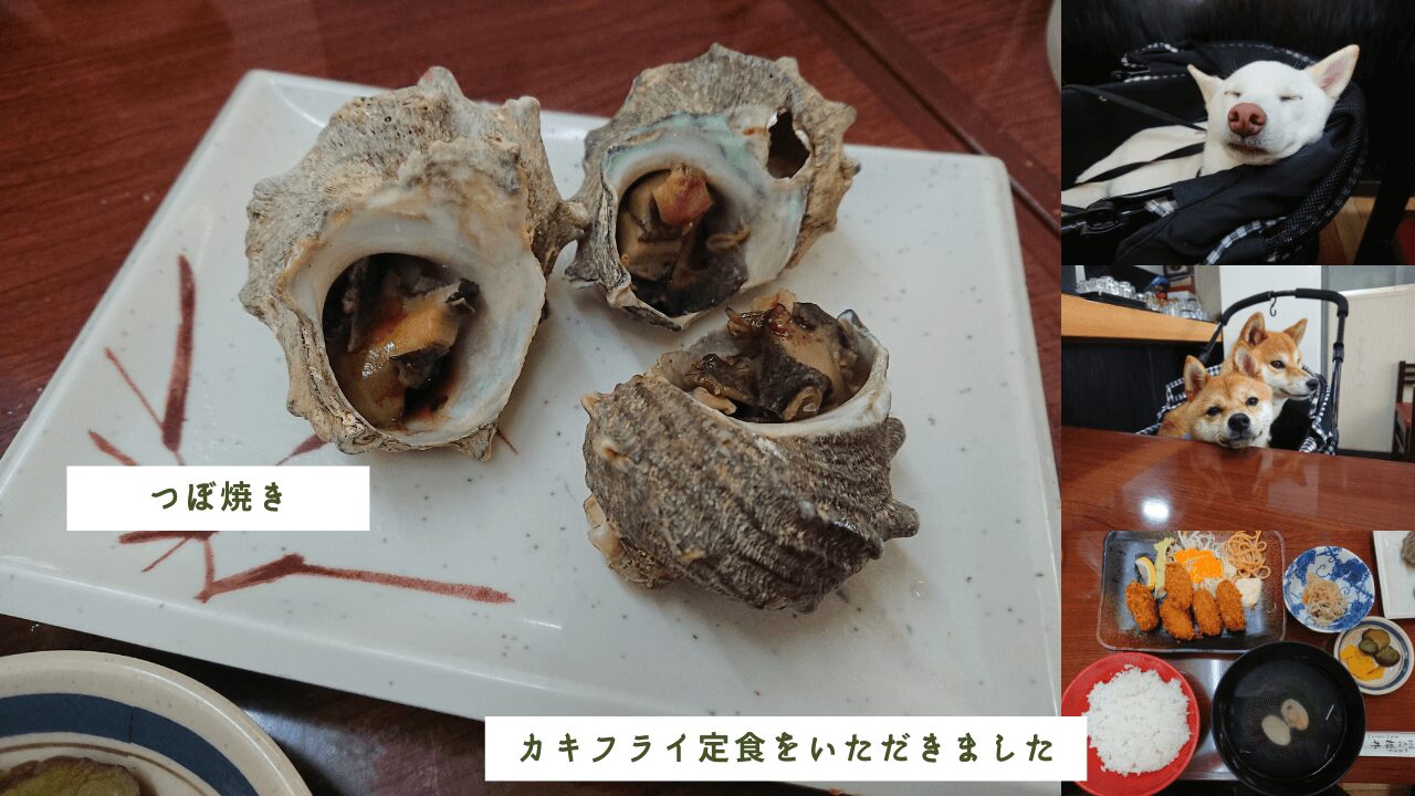 〈ペット可〉日本三景松島にある【お食事処 櫻井】