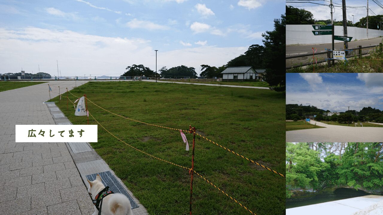 〈日本三景松島〉松島公園の【松島海岸グリーン広場】