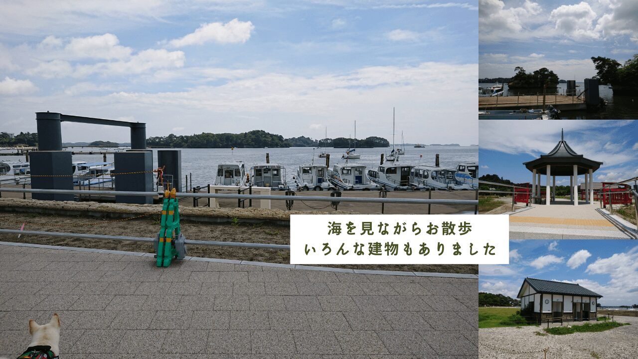 〈日本三景松島〉松島公園の【松島海岸グリーン広場】