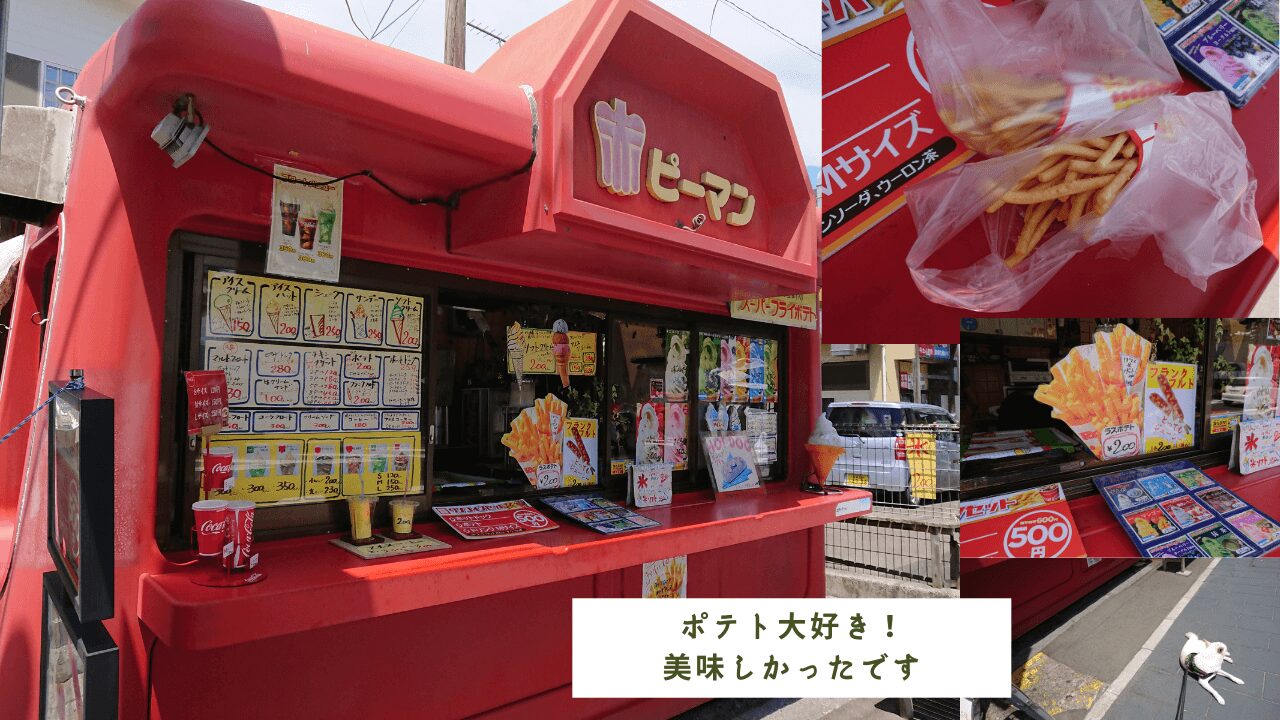 〈日本三景松島〉松島公園の【松島海岸グリーン広場】赤ピーマン