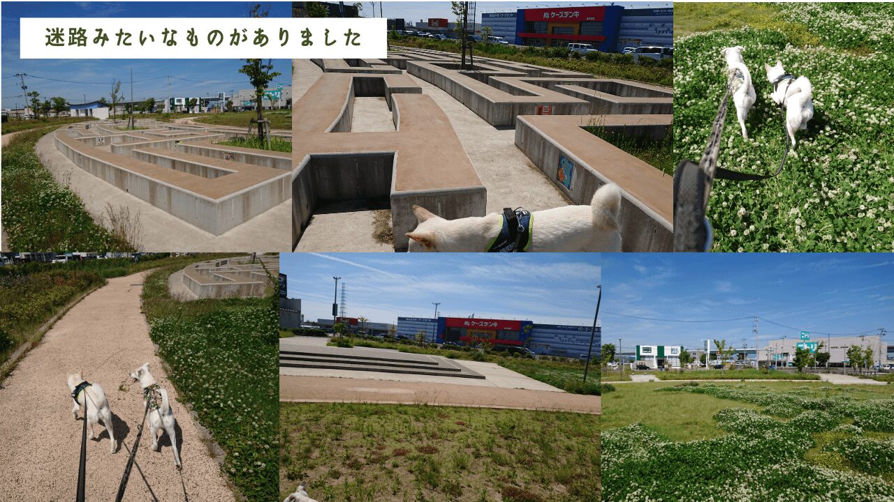 仙台市宮城野区、三井アウトレットパーク仙台港向かいにある【中野中央公園】