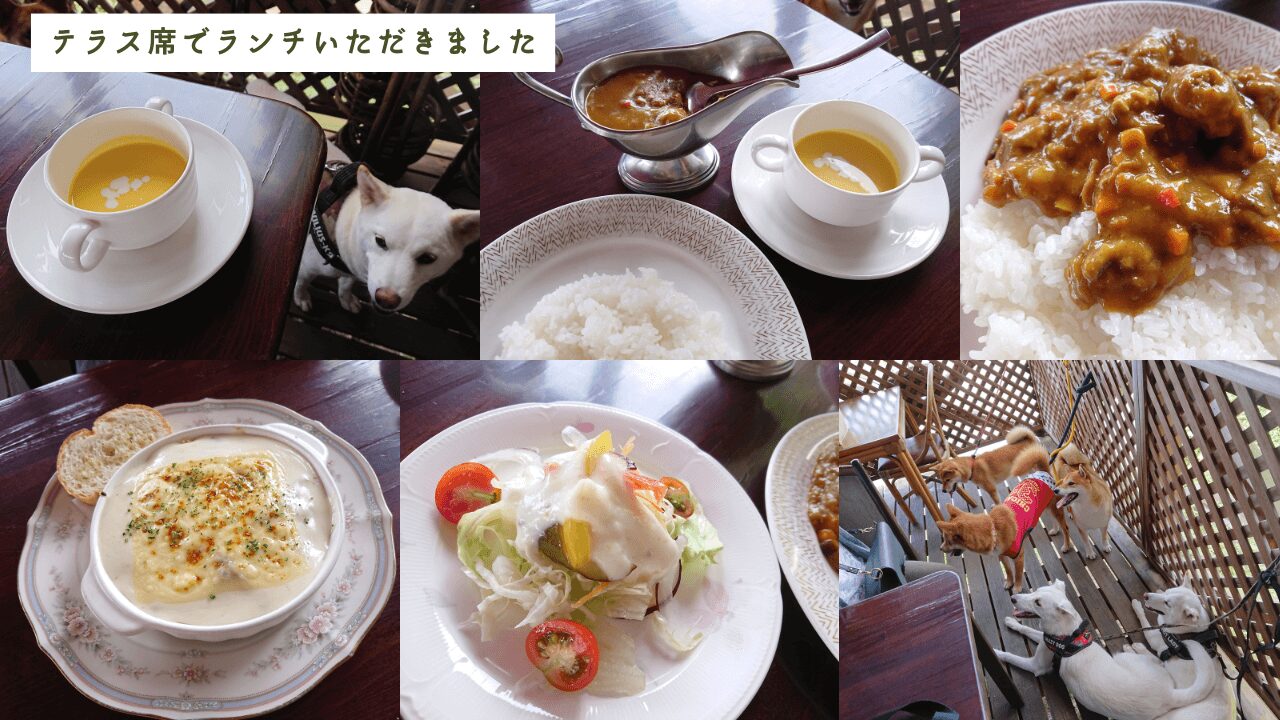 〈テラス席ペット可〉七ツ森湖そばのレストラン【蝋梅の咲く頃】