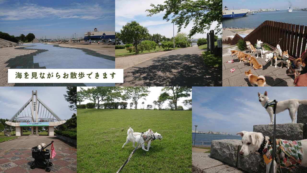 仙台市宮城野区、仙台港そばにある【仙台港中央公園】