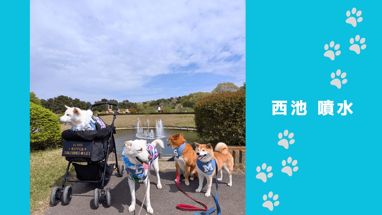ひたち海浜公園