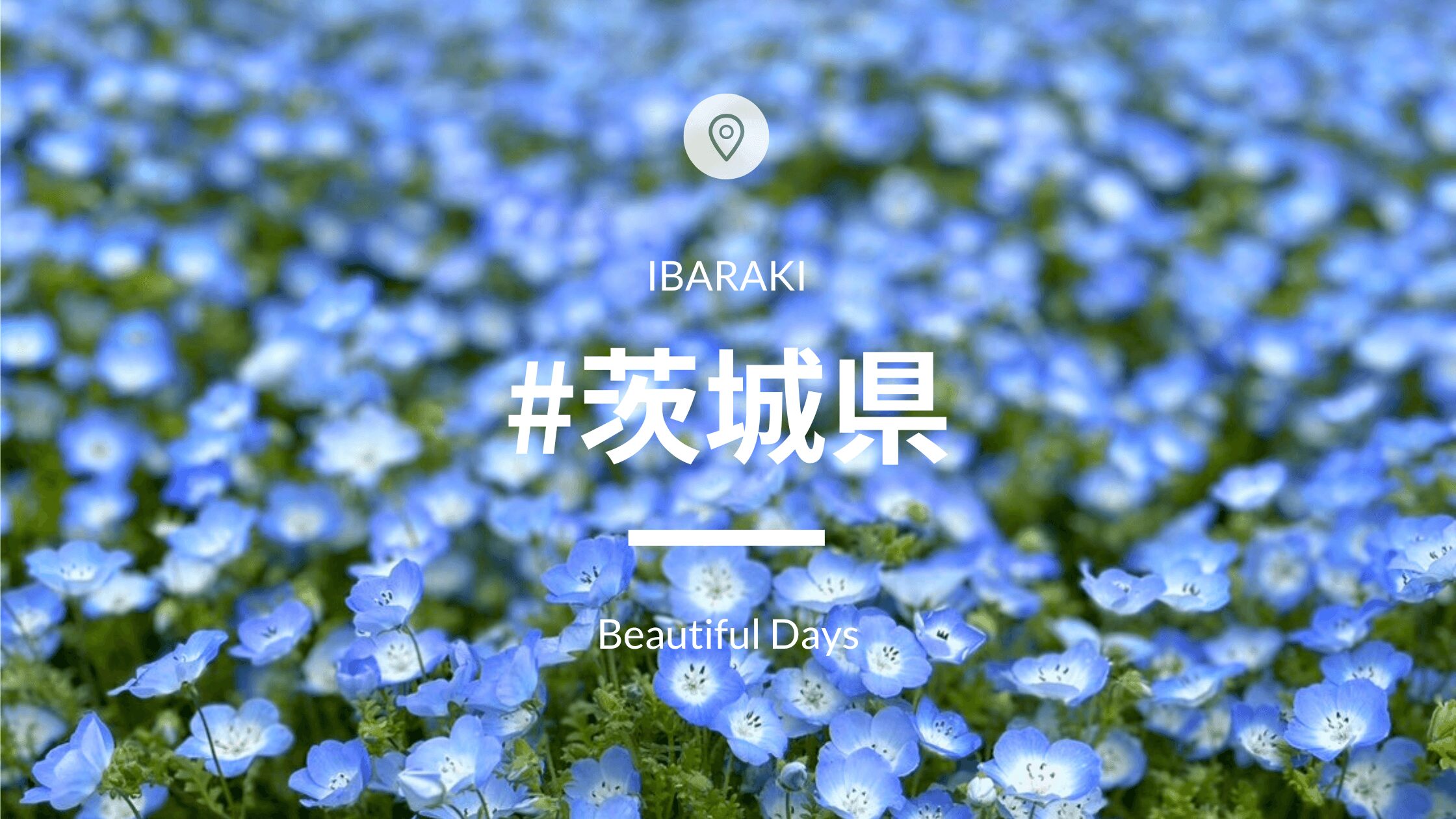 茨城県